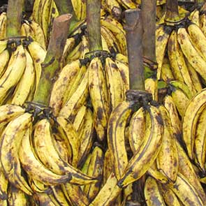 Banane plantain alloco du lendemain