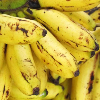 Banane douce courte