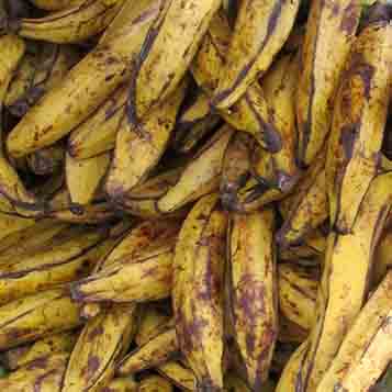 Banane plantain alloco du même jour
