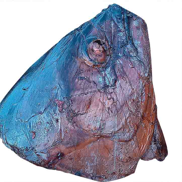 Sogodjêguê (poisson viande) fumé (tête)