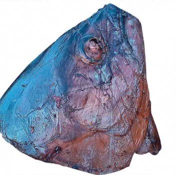 Sogodjêguê (poisson viande) fumé (tête)