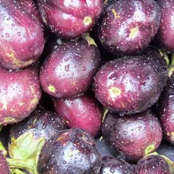Aubergine violette (grosse)