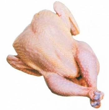 Poulet pondeuse (gros) congelé