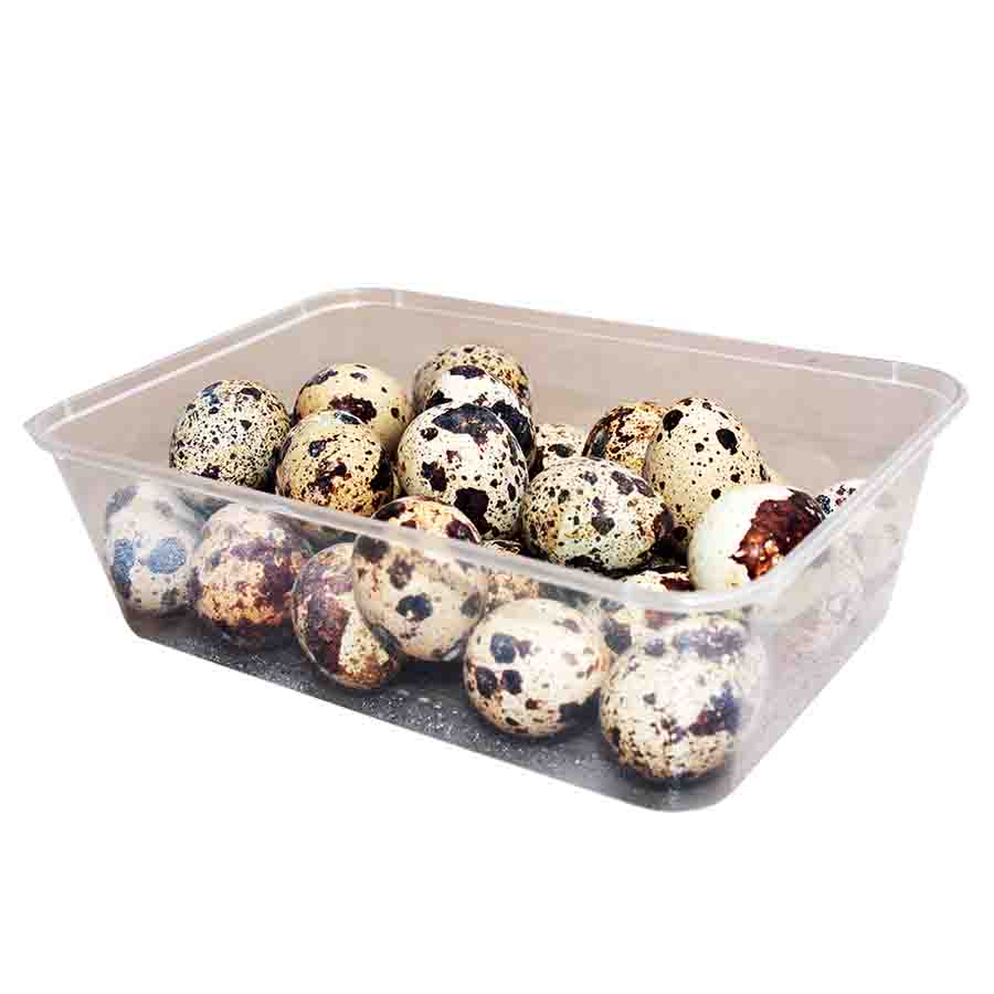 Oeuf de caille (1 boite de 30 oeufs)