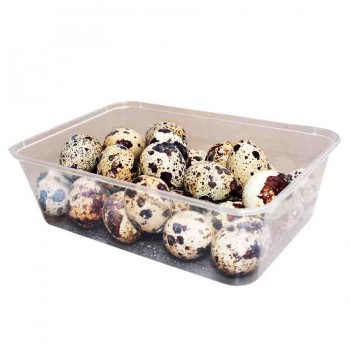 Oeuf de caille (1 boite de 30 oeufs)