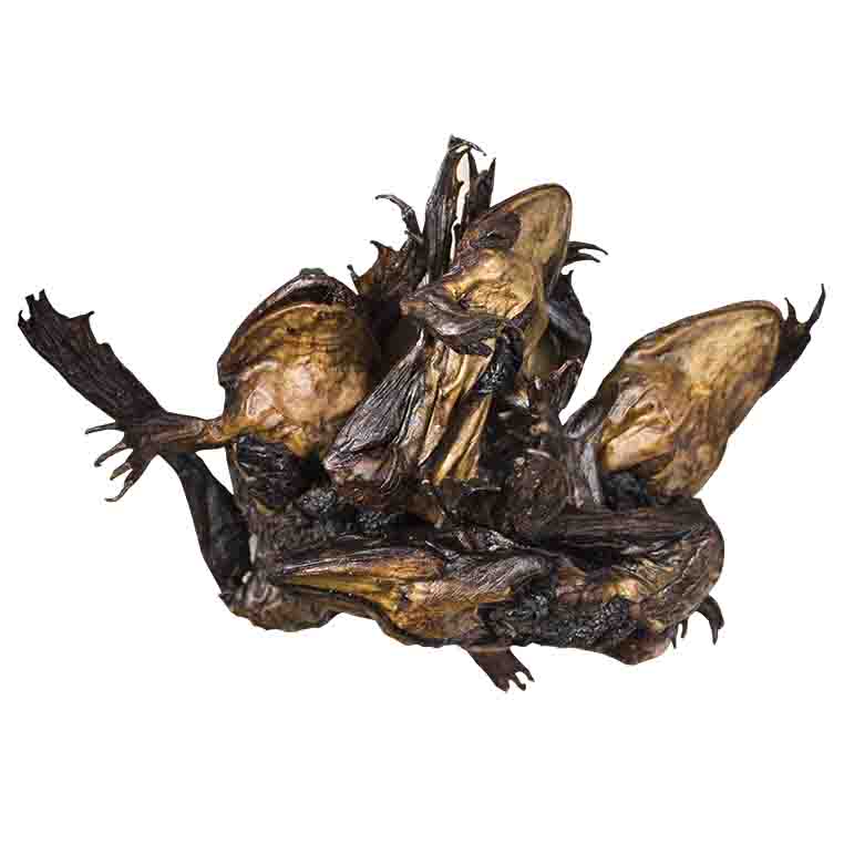 Grenouilles fumées en tas (5 grosses)