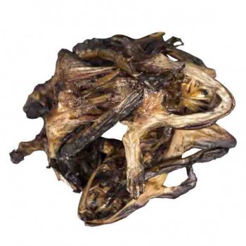 Grenouilles fumées en tas (5 moyennes)