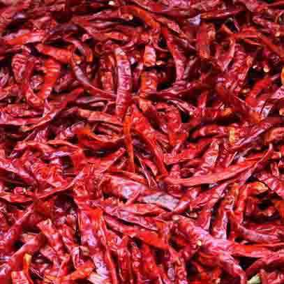 Piment rouge bec d'oiseau sec