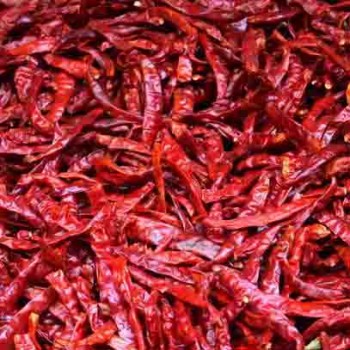 Piment rouge bec d'oiseau sec