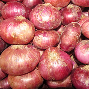 Oignon violet (Niger)