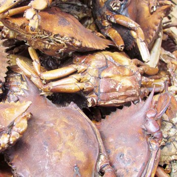 Crabe sec