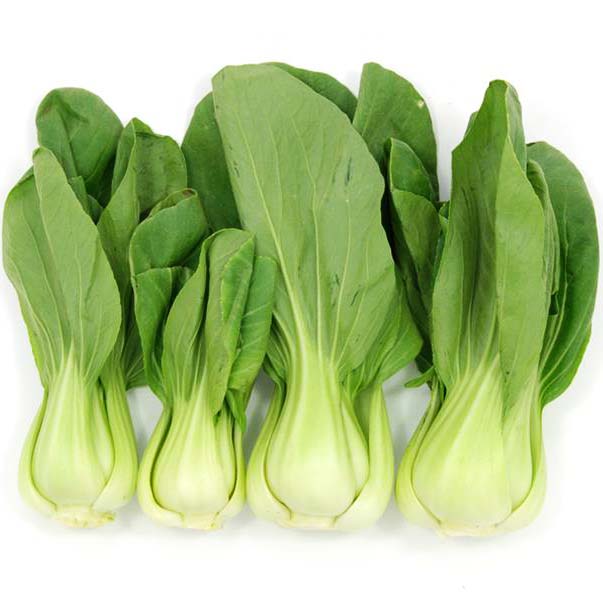 Chou blanc (Brassica rapa) 