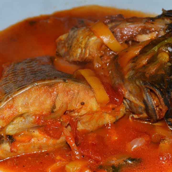 Sauce tomate au poisson carpe fraîche (4pers.)