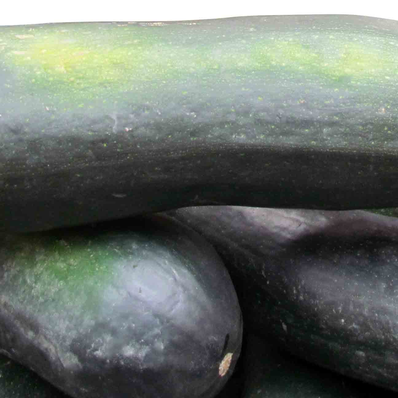 Courgette (Burkina)