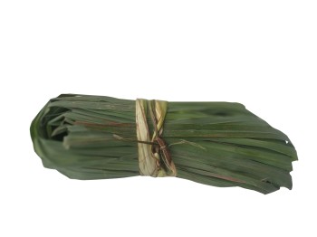 Feuille de citronelle