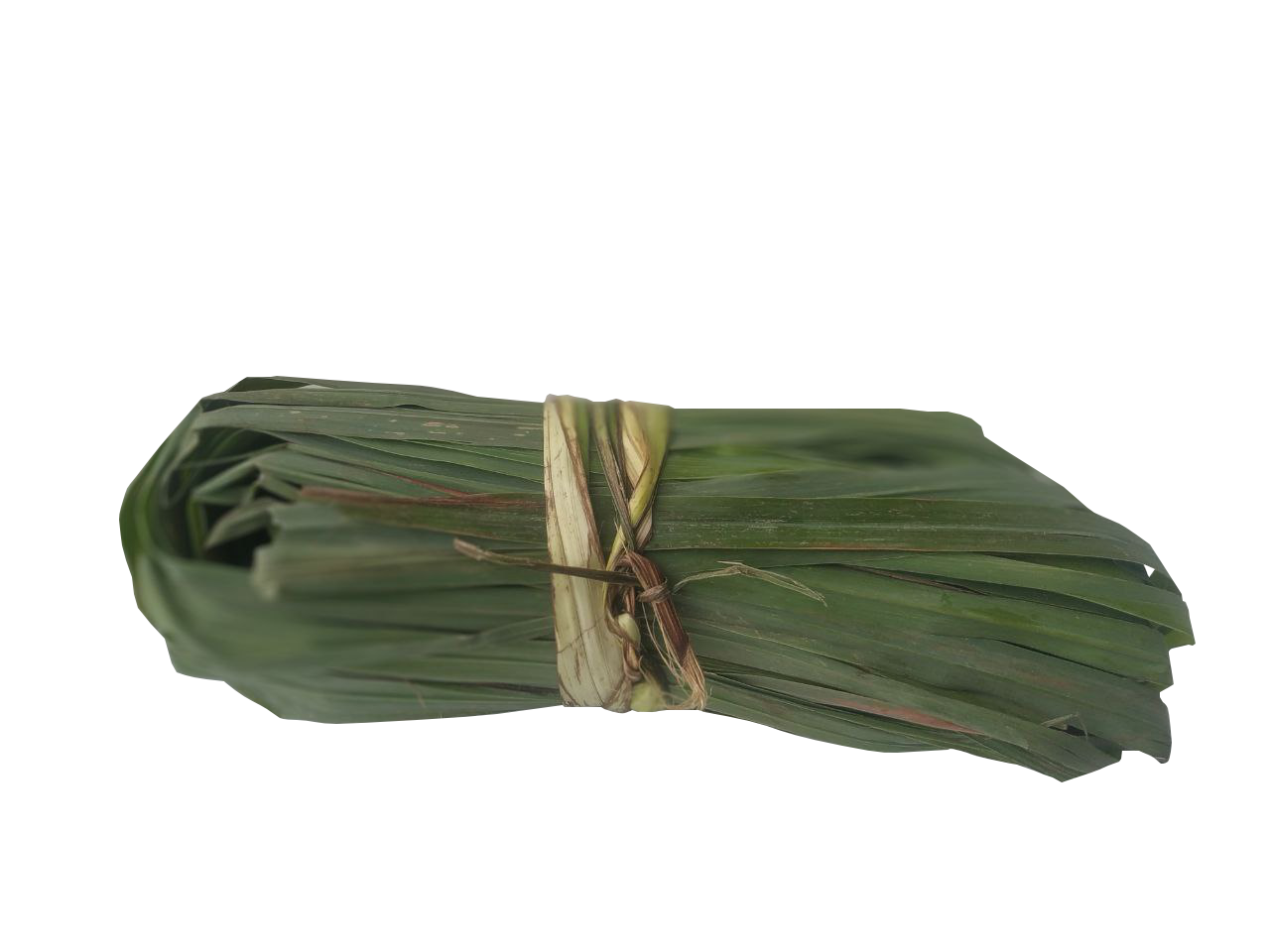 Feuille de citronelle