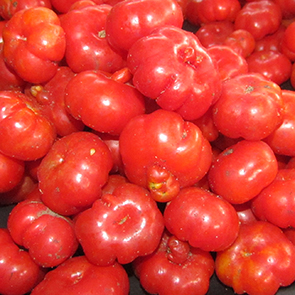 Tomate africaine (tas)