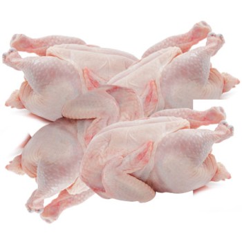 Poulet de chair (lot de 10 poulets)