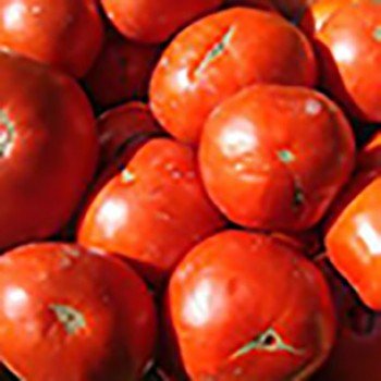 Tomate cassée de Côte d'Ivoire